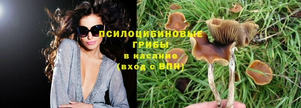 стаф Абаза